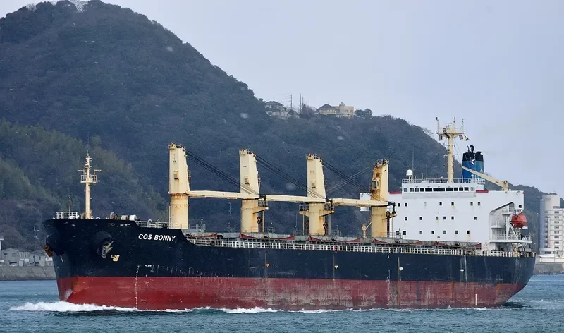 COS BONNY Bulk Carrier IMO 9117399 photo 8