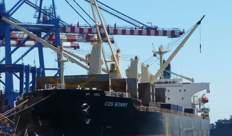 COS BONNY Bulk Carrier IMO 9117399 photo 9