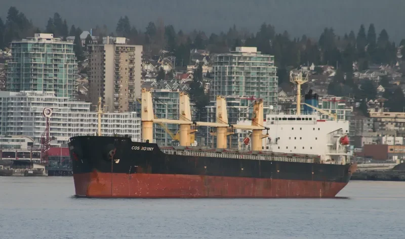 COS BONNY Bulk Carrier IMO 9117399 photo 10
