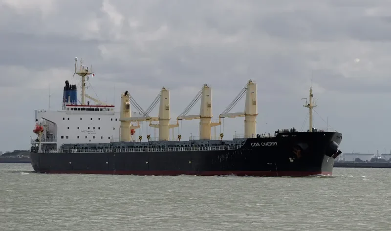 COS CHERRY Bulk Carrier IMO 9117404 photo 6