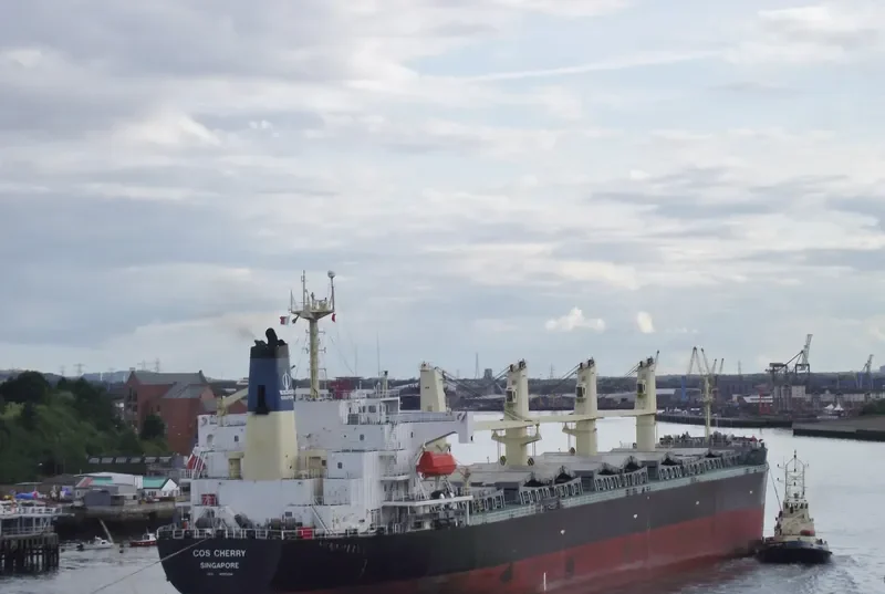 COS CHERRY Bulk Carrier IMO 9117404 photo 8