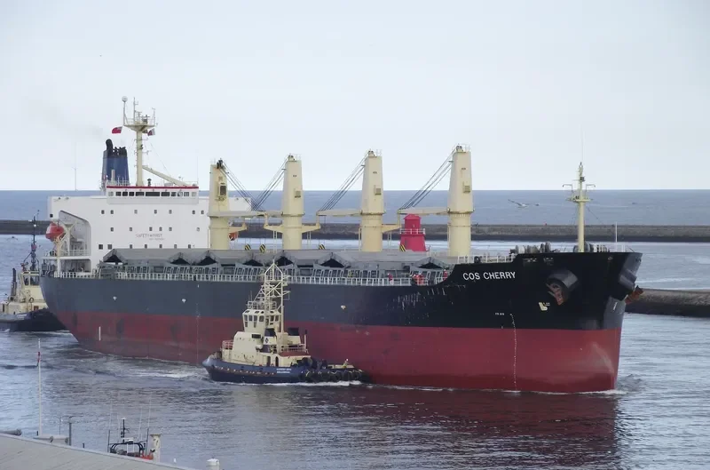COS CHERRY Bulk Carrier IMO 9117404 photo 9