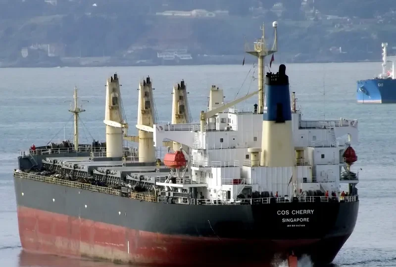 COS CHERRY Bulk Carrier IMO 9117404 photo 10