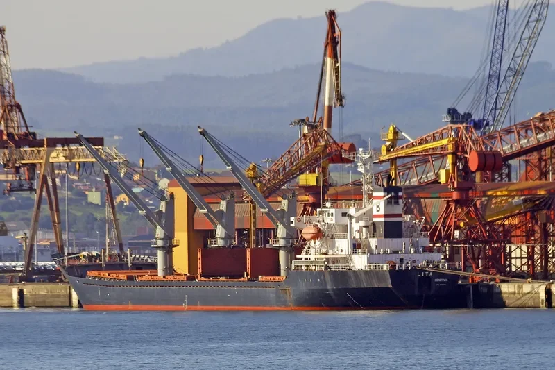 LITA Bulk Carrier IMO 9117416 photo 2