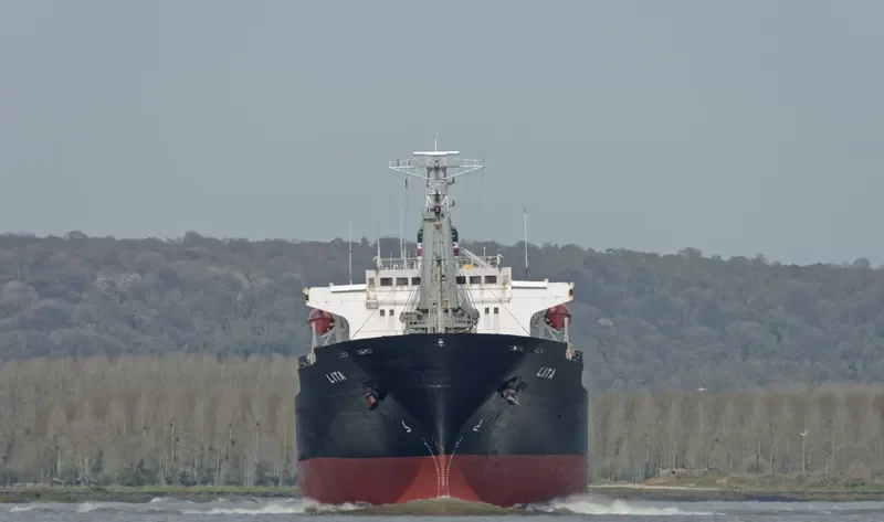 LITA Bulk Carrier IMO 9117416 photo 6