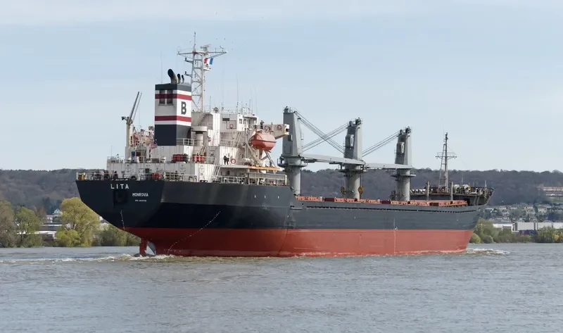 LITA Bulk Carrier IMO 9117416 photo 8