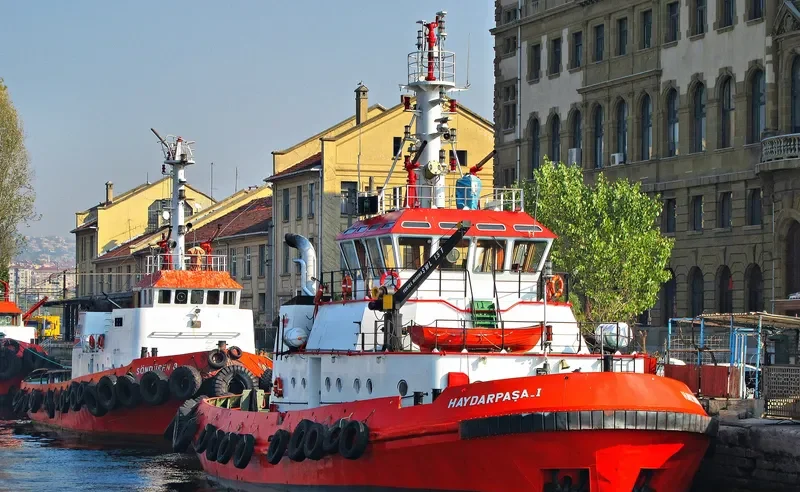HAYDARPASA I General Cargo IMO 9117557 photo 6