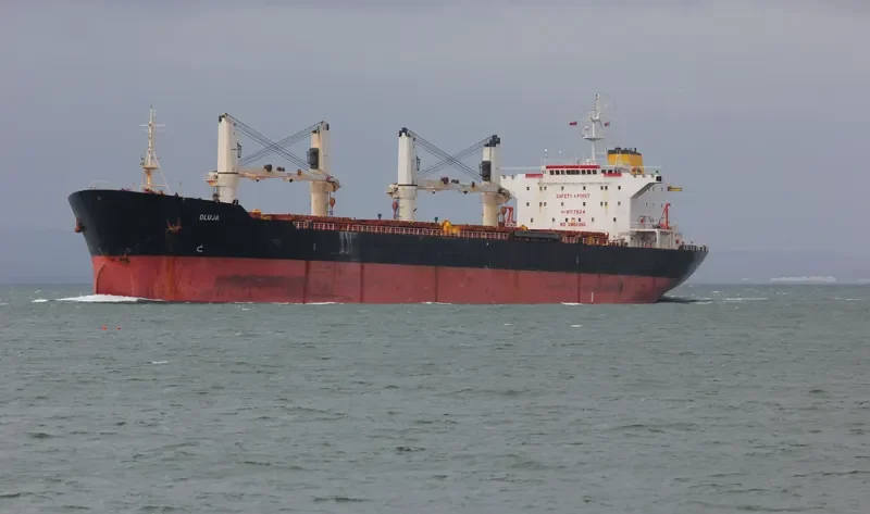 LAUREN OCEAN Bulk Carrier IMO 9117624 photo 2