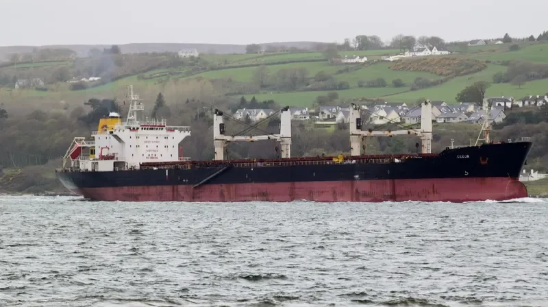LAUREN OCEAN Bulk Carrier IMO 9117624 photo 3