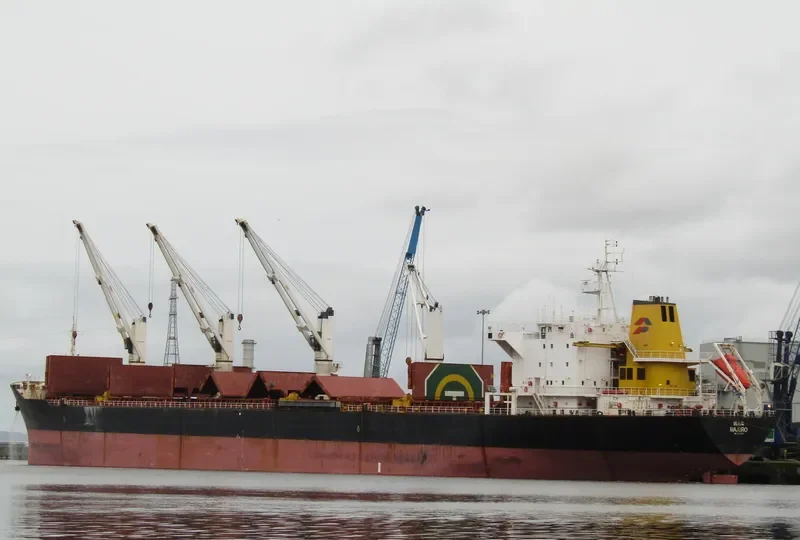 LAUREN OCEAN Bulk Carrier IMO 9117624 photo 4