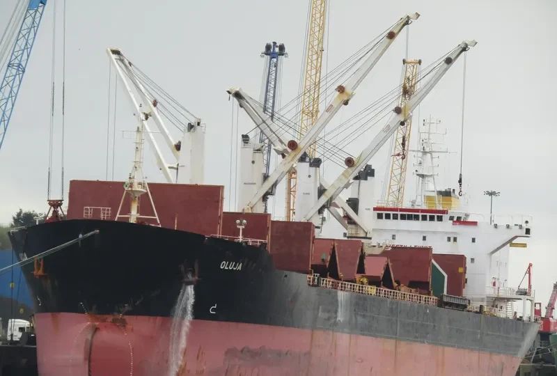 LAUREN OCEAN Bulk Carrier IMO 9117624 photo 5