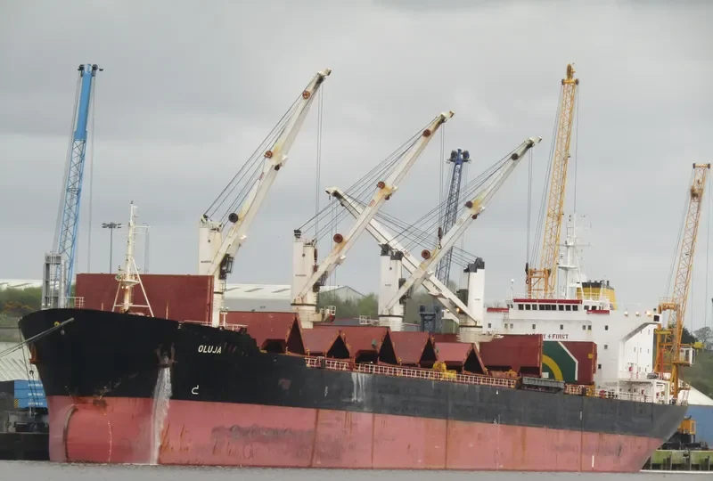 LAUREN OCEAN Bulk Carrier IMO 9117624 photo 6