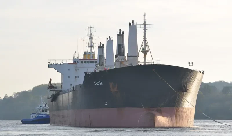 LAUREN OCEAN Bulk Carrier IMO 9117624 photo 7
