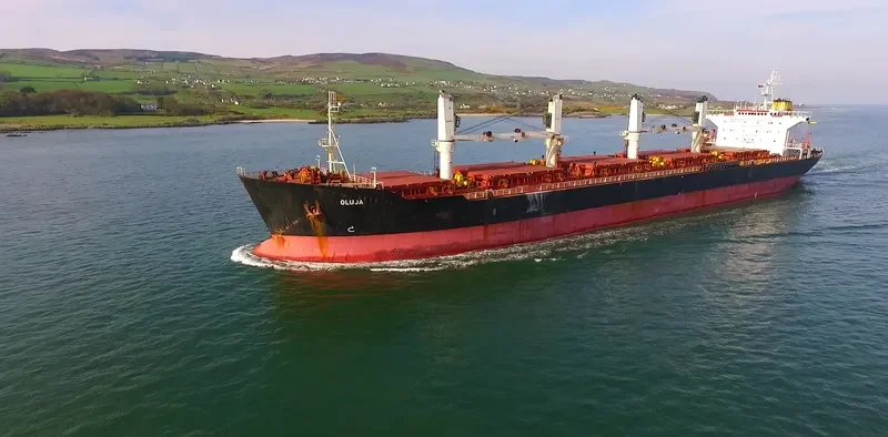 LAUREN OCEAN Bulk Carrier IMO 9117624 photo 10