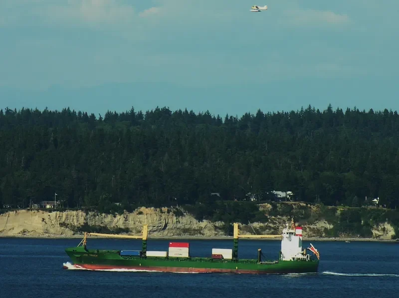 CNP ILO Container Ship IMO 9117662 photo 9