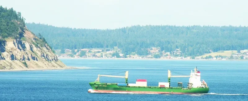 CNP ILO Container Ship IMO 9117662 photo 16