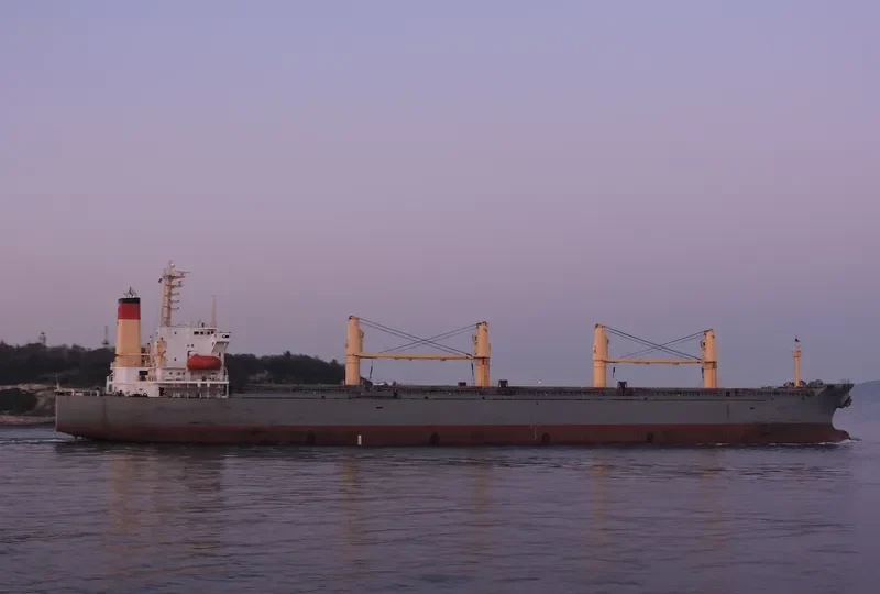 BEIHAI Bulk Carrier IMO 9117698 photo 4