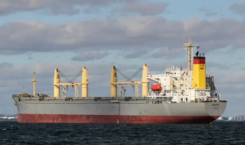 NANHAI Bulk Carrier IMO 9117703 photo 3