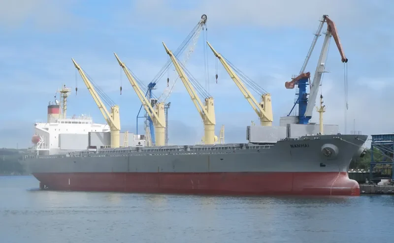 NANHAI Bulk Carrier IMO 9117703 photo 4