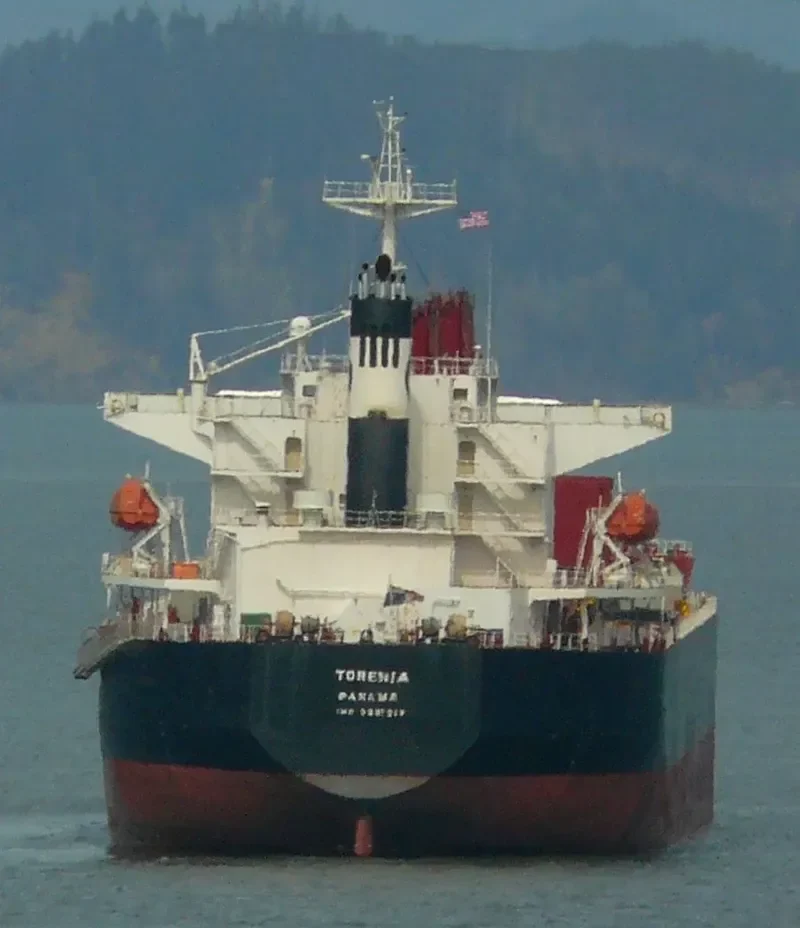 NANHAI Bulk Carrier IMO 9117703 photo 8