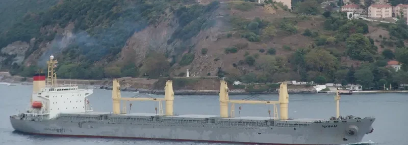 NANHAI Bulk Carrier IMO 9117703 photo 9