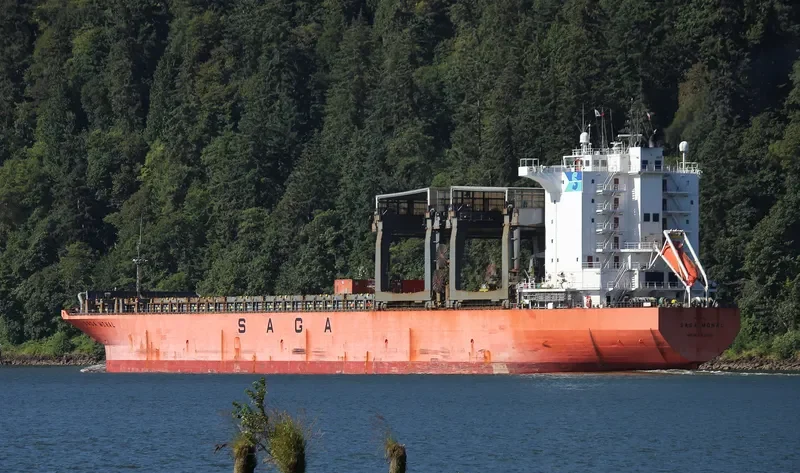 SAGA MONAL Container Ship IMO 9117739