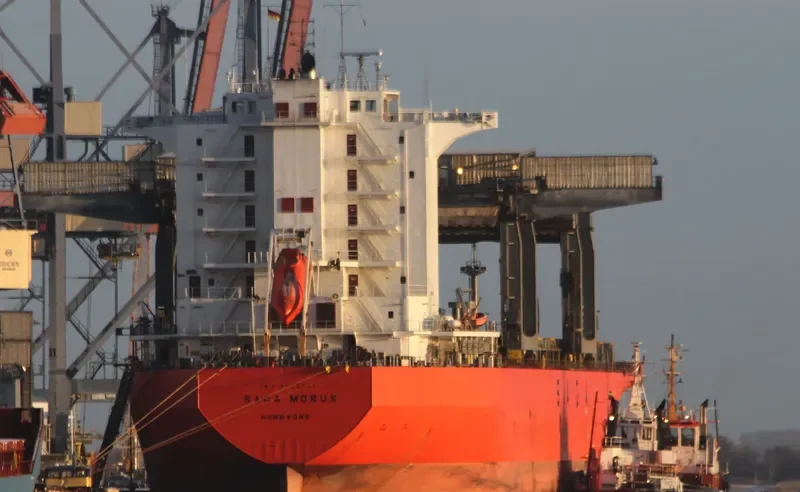 SAGA MORUS General Cargo IMO 9117741 photo 9