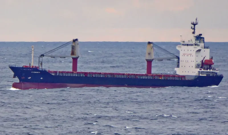 TIAMAT Container Ship IMO 9117753 photo 4