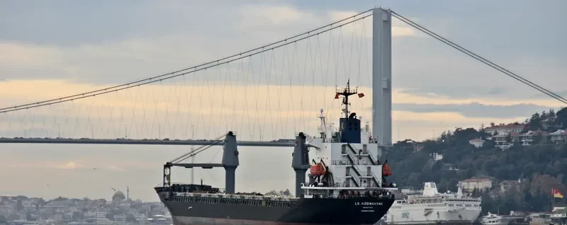 TIAMAT Container Ship IMO 9117753 photo 9