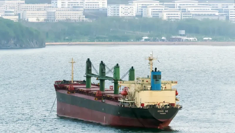 HONG DE Bulk Carrier IMO 9117789 photo 4