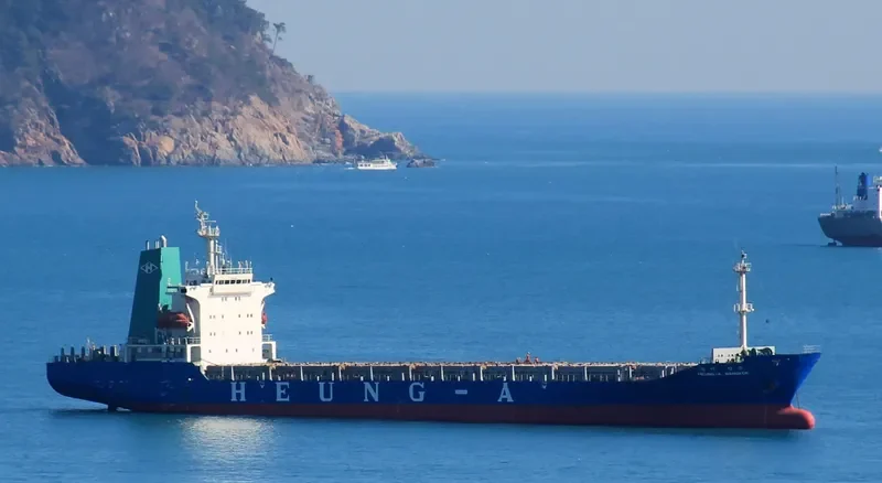 HARBOUR RUBY Container Ship IMO 9117820 photo 8