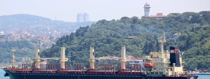 AMANO T Bulk Carrier IMO 9117832 photo 2
