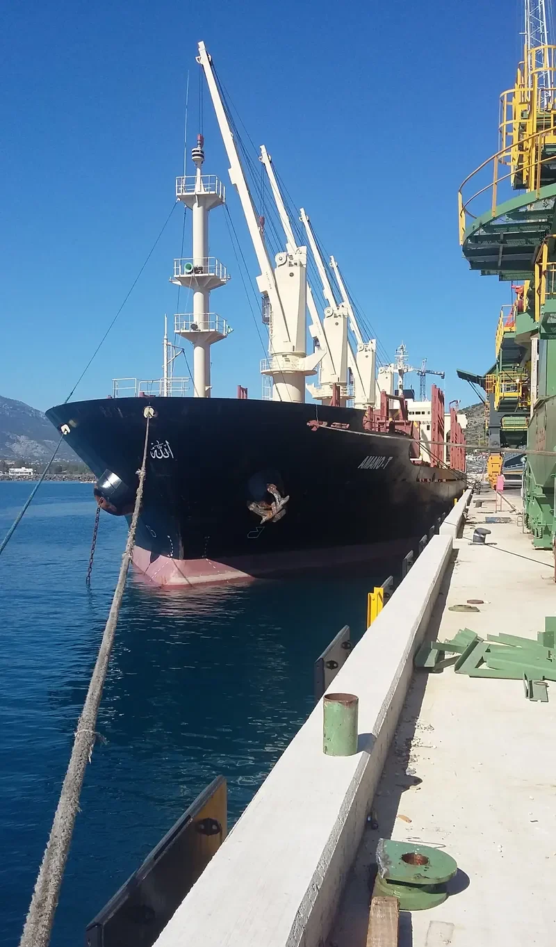 AMANO T Bulk Carrier IMO 9117832 photo 6