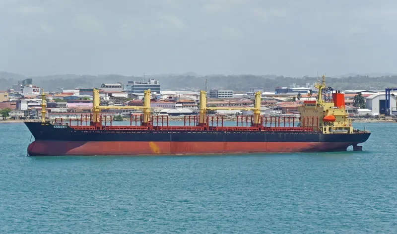 KRAKEN I Bulk Carrier IMO 9117844