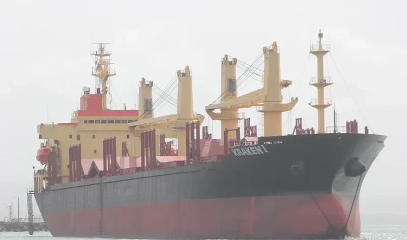 KRAKEN I Bulk Carrier IMO 9117844 photo 3