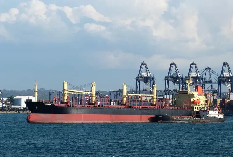 KRAKEN I Bulk Carrier IMO 9117844 photo 4