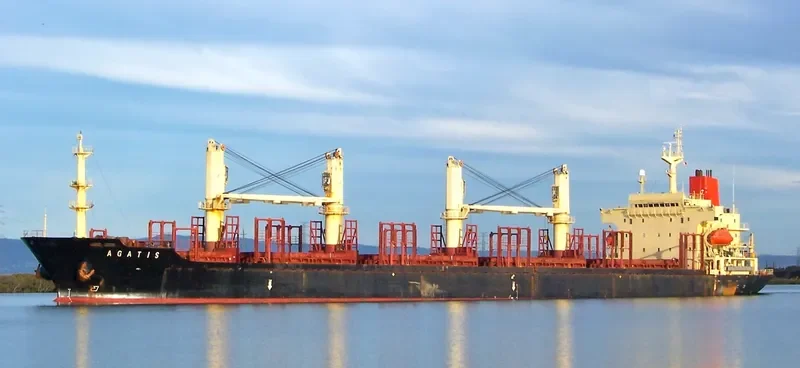KRAKEN I Bulk Carrier IMO 9117844 photo 10