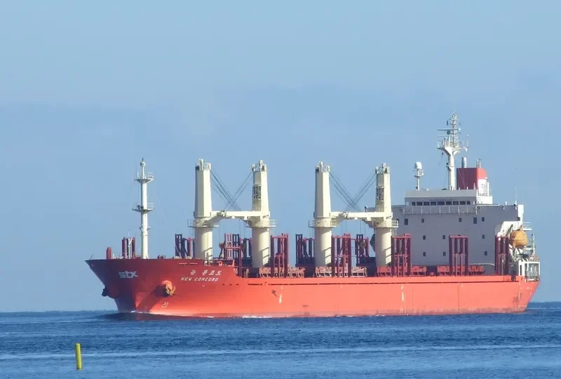 CLARE Bulk Carrier IMO 9117856 photo 9