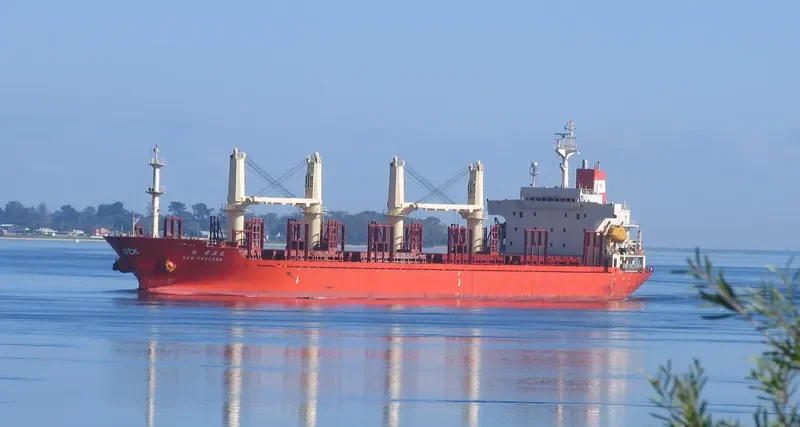 CLARE Bulk Carrier IMO 9117856 photo 10