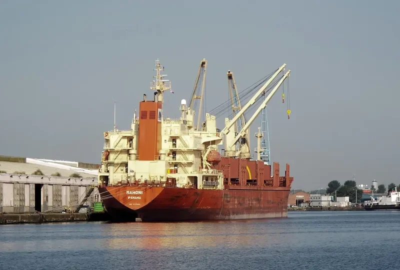 ZJ RAINBOW Bulk Carrier IMO 9117868 photo 3