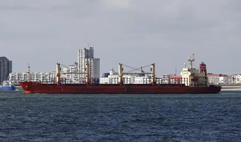 ZJ RAINBOW Bulk Carrier IMO 9117868 photo 9