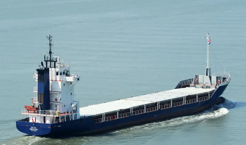 CHARLOTTE Container Ship IMO 9118018 photo 2