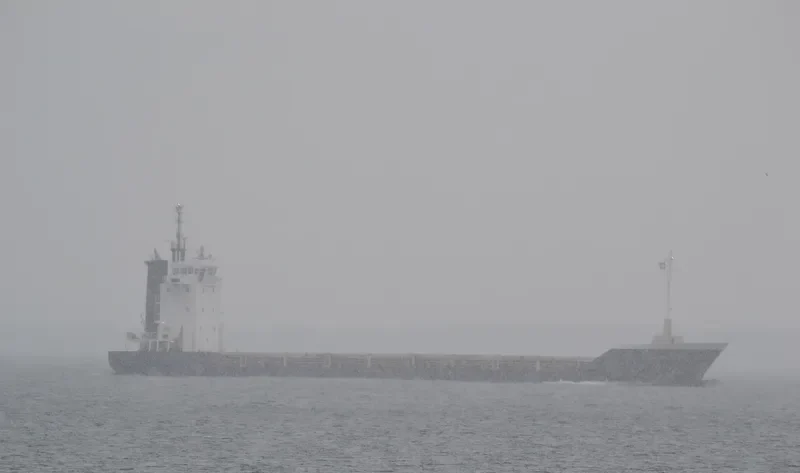 CHARLOTTE Container Ship IMO 9118018 photo 7