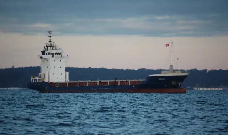 CHARLOTTE Container Ship IMO 9118018 photo 10