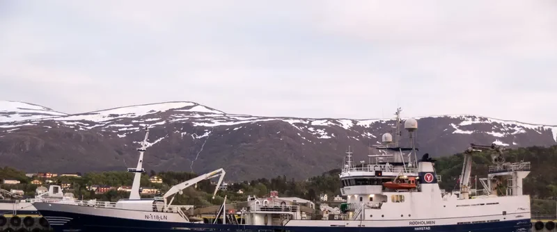 ROEDHOLMEN General Cargo IMO 9118044 photo 10
