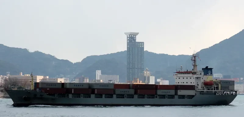 PAN HE Container Ship IMO 9118109 photo 3