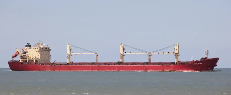 OMOLON Bulk Carrier IMO 9118135 photo 2