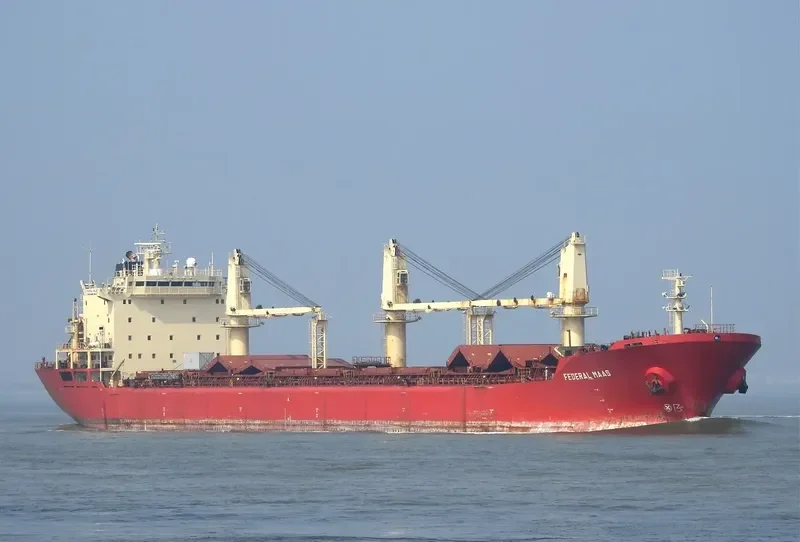 OMOLON Bulk Carrier IMO 9118135 photo 3
