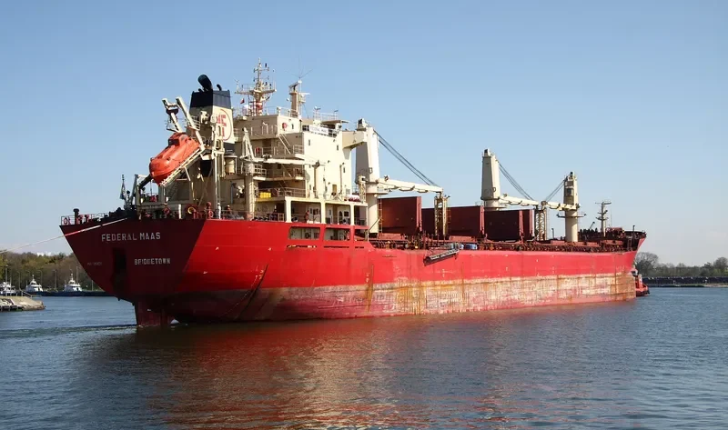 OMOLON Bulk Carrier IMO 9118135 photo 4