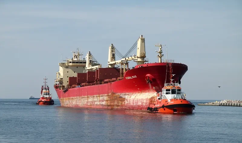 OMOLON Bulk Carrier IMO 9118135 photo 5